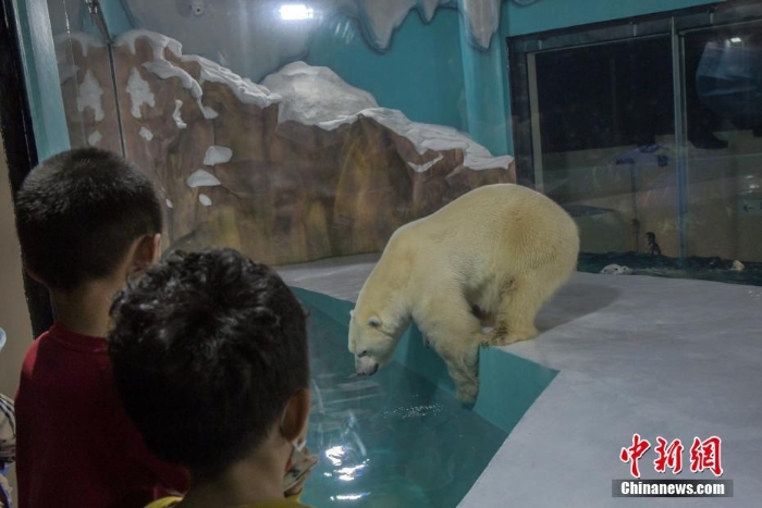 哈尔滨北极熊酒店正式开门迎客