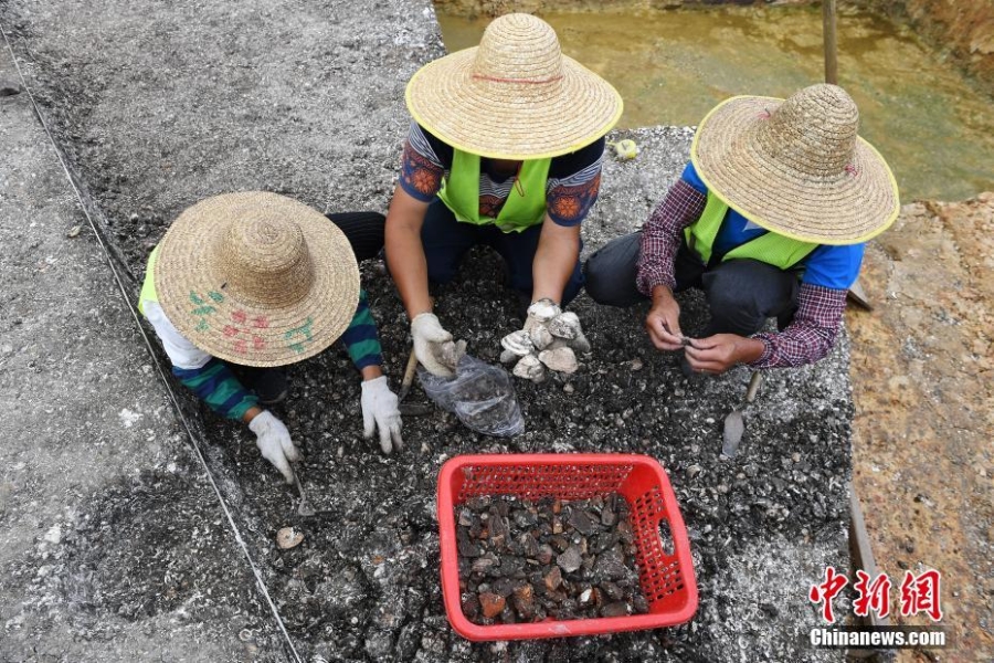 广州金兰寺遗址发现墓葬44座