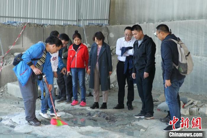 专家探究埋藏在砂岩中的恐龙化石。　隆昌市委宣传部供图