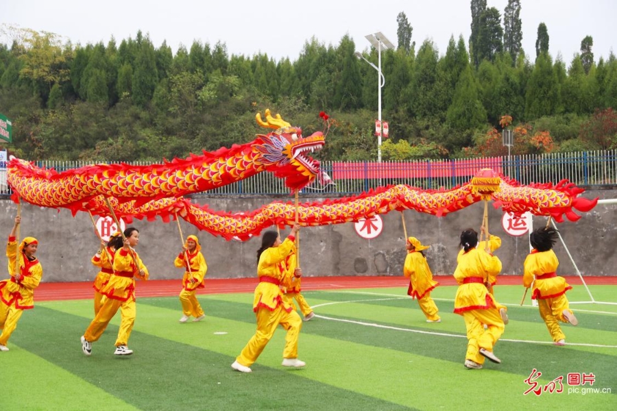 湖南新田：课后舞龙 传承非遗