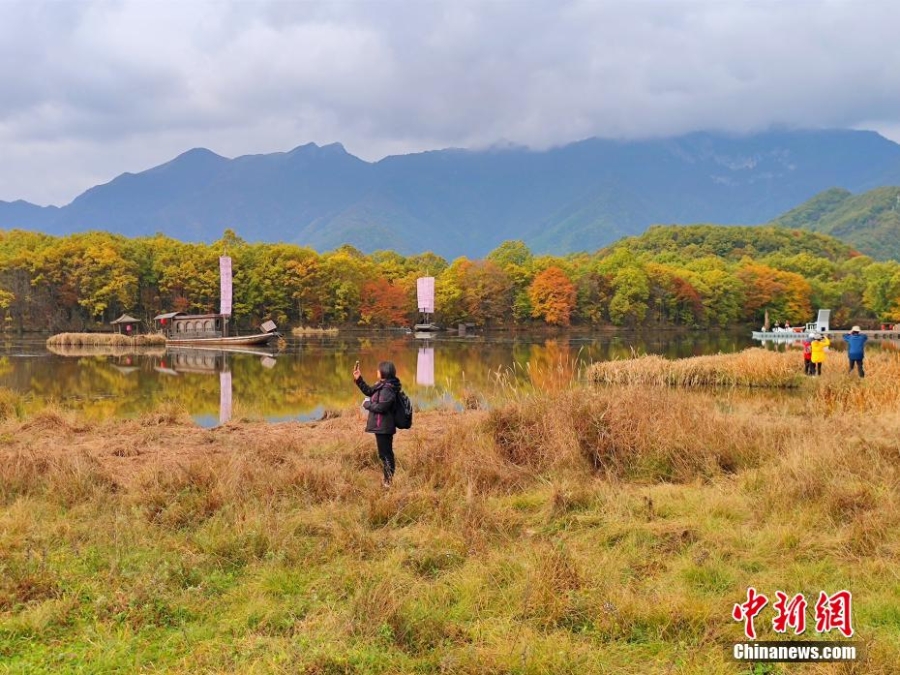 湖北神农架大九湖最美秋景“上线”