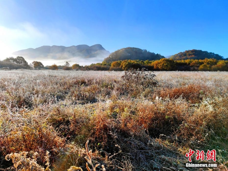 湖北神农架大九湖最美秋景“上线”