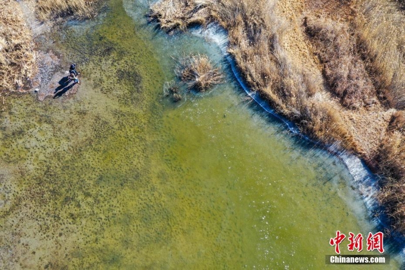 西藏拉萨：茶巴朗湿地冬景