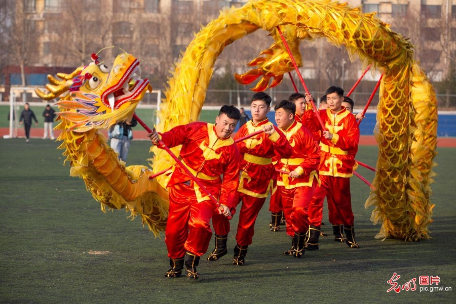 龙腾狮跃迎新年