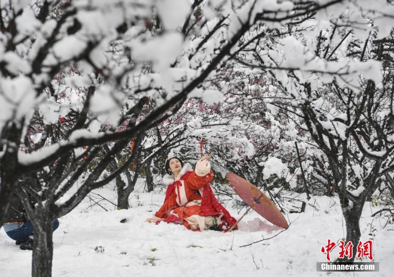 瑞雪兆丰年 一起去看南方雪中美景