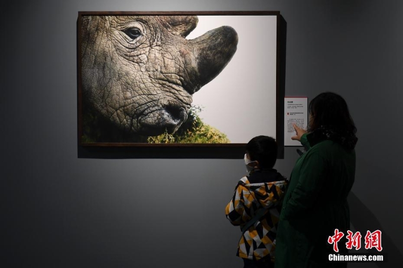 “消失中的世界——濒危动物摄影展”亮相北京自然博物馆