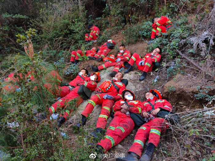 武警森林消防图片