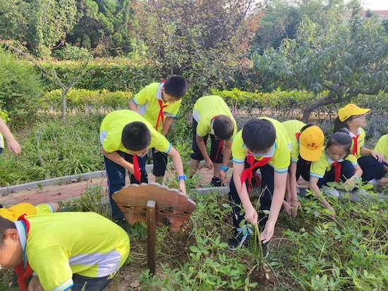 荣成市府新小学“植根养正，好习惯成就一生”入选省优秀德育方案