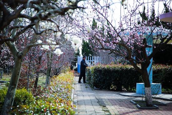 荣成市府新小学“植根养正，好习惯成就一生”入选省优秀德育方案