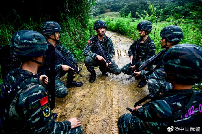 夏季大練兵看武警特戰官兵高清訓練掠影