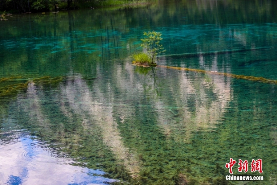 夏日九寨沟山风水韵 自然纯净宛如童话世界