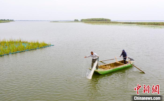 一船一码一证：“京津冀最美湿地”衡水湖开湖捕鱼