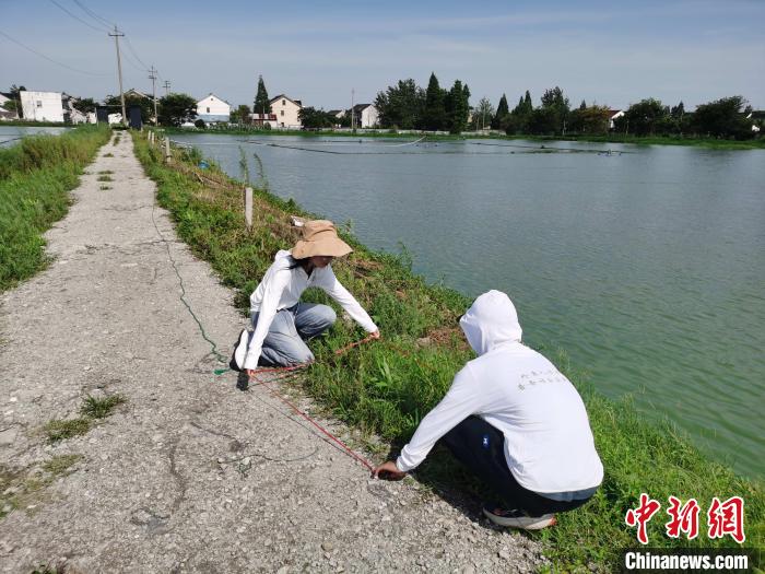 高校师生普查浙江24个县市区发现165种外来入侵植物