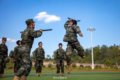 这样的哨兵反袭击训练你见过吗