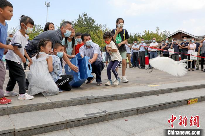 图为野生鸟类放归现场。　北京市园林绿化局供图