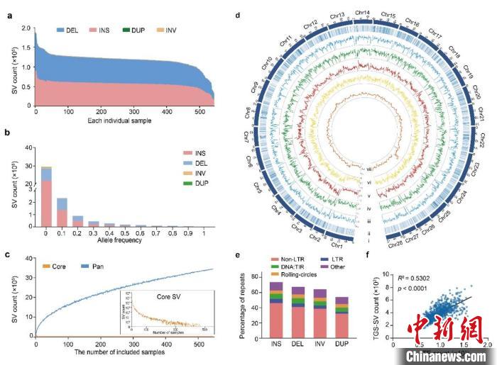 图为545个蚕基因组的结构变异特征。　家蚕基因组生物学国家重点实验室供图