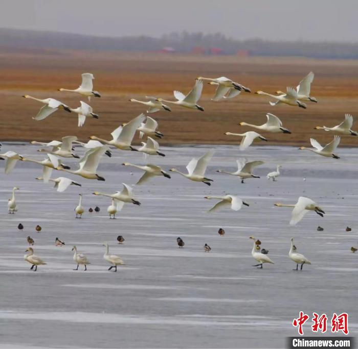 图为如今的浑善达克沙地腹地。　管永新 摄