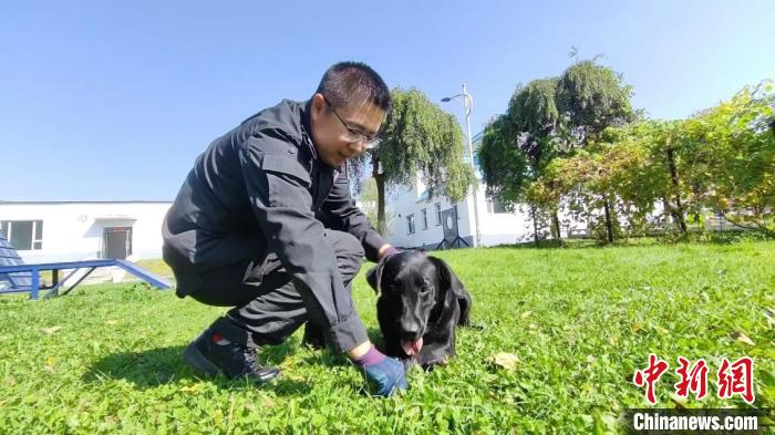 “传奇警犬”暮年犹勇：退休前站好最后一班岗