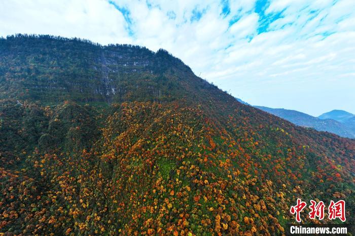 色彩斑斓的瓦屋山。　刘忠俊 摄