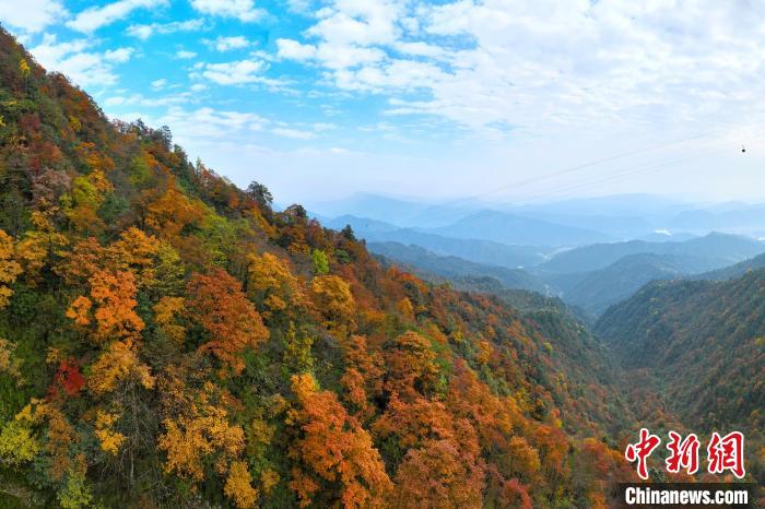 深秋的瓦屋山五彩斑斓，秋色如画。　刘忠俊 摄