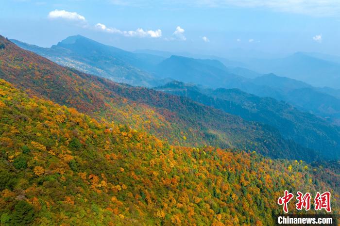 阳光下的瓦屋山七彩林。　刘忠俊 摄