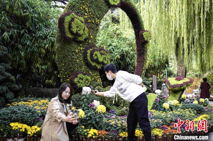 市民在菊花造型前拍照。　张勇 摄