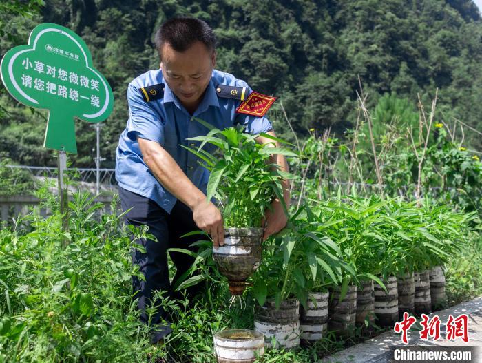 图为改为无人值守前，员工在打理种植的蔬菜。　鲜联平 摄