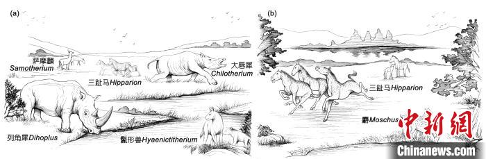 晚中新世华北地区三趾马动物群生态复原：(a) 华北西部； (b) 华北东部。　中科院古脊椎所 供图