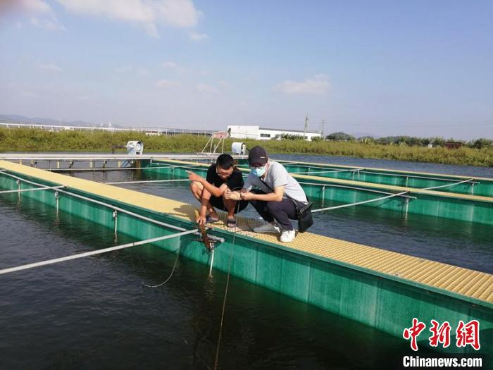 广东珠海斗门打造“一条鱼”的气象服务