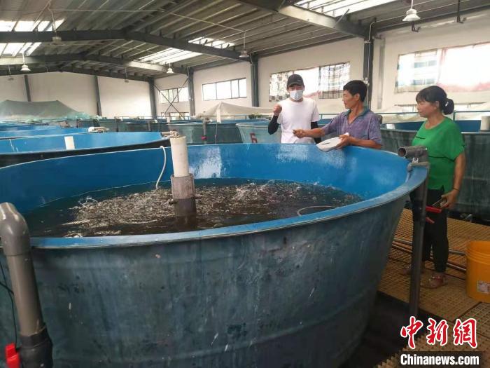 珠海市斗门区气象局气象服务团队技术人员了解海鲈养殖情况 周珍丹 摄