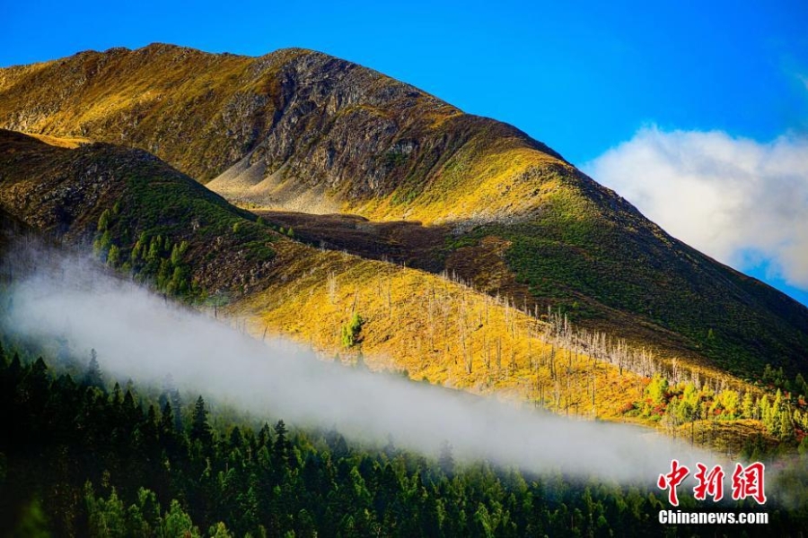 四川壤塘：雪山、彩林、藏寨美如仙境