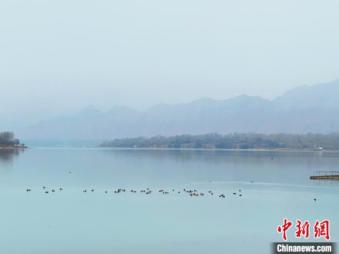 “河区”变“景区”青海高原水车村乡村振兴见闻