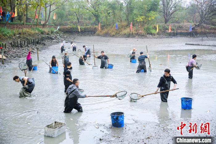 游客在鱼塘里摸鱼 西溪湿地 供图