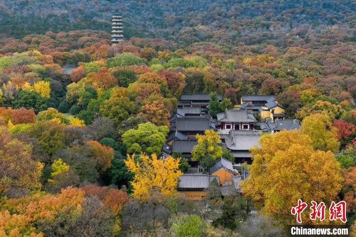 钟山风景区灵谷寺掩映在树木中。　泱波 摄