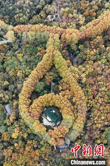 航拍南京紫金山。　泱波 摄