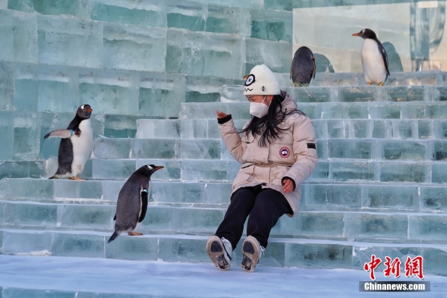 哈尔滨冰雪大世界开门迎客