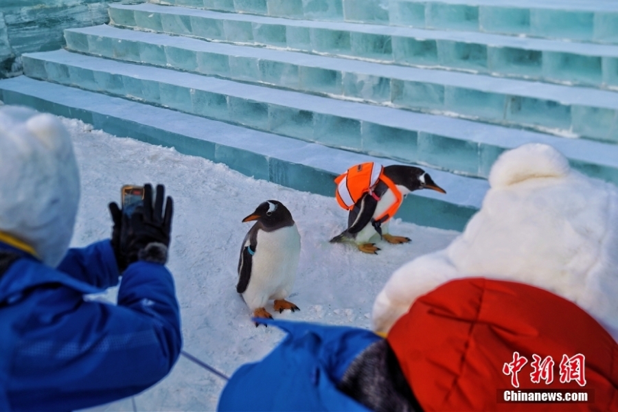 哈尔滨冰雪大世界开门迎客