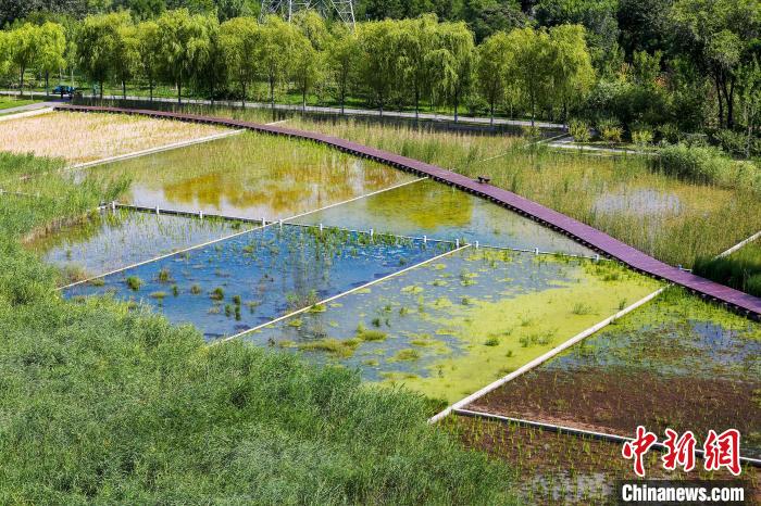 北京延庆野鸭湖入选《国际重要湿地名录》