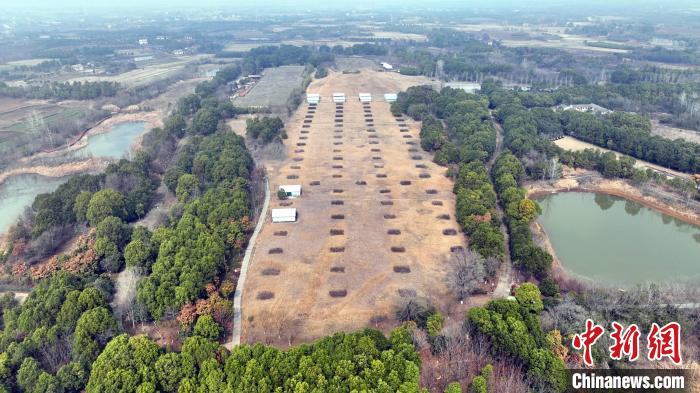 熊家冢主冢及殉葬墓。　周星亮 摄