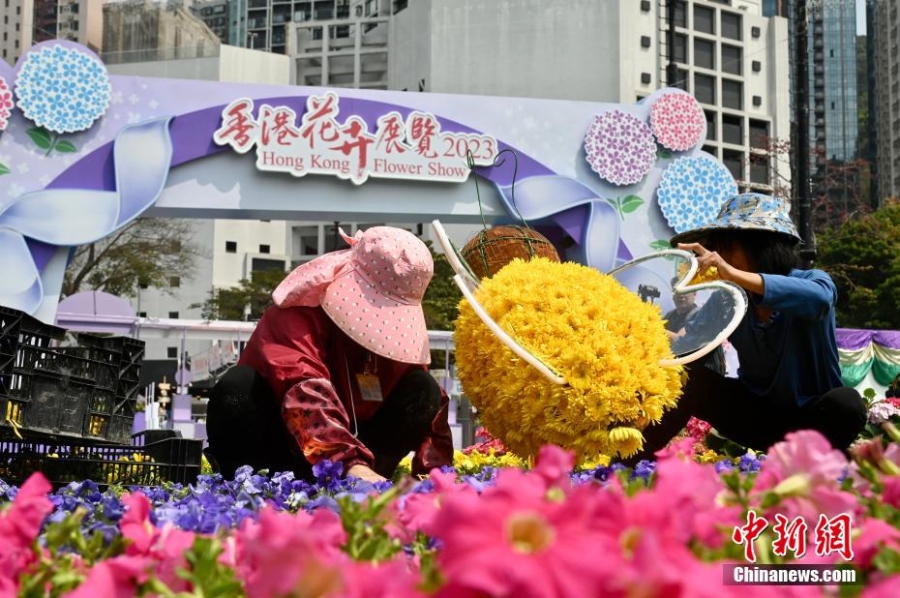 香港复办花卉展 40万株花卉争奇斗艳