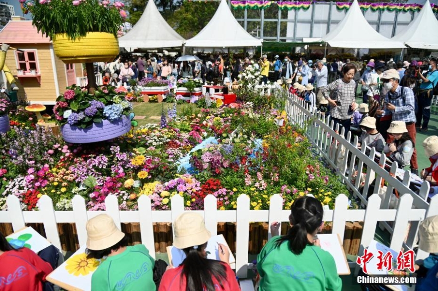 香港花卉展览开幕 吸引大批市民赏花