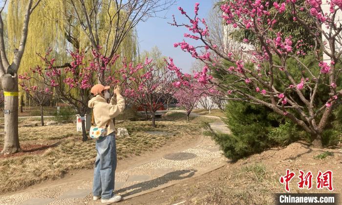 图为中国园林博物馆。　徐婧 摄