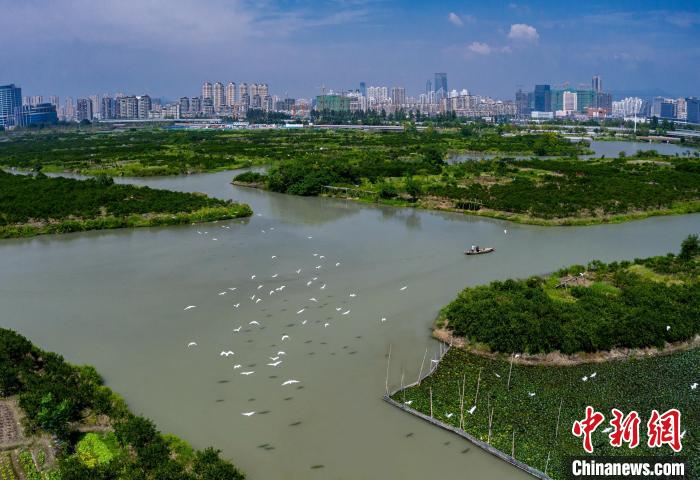 温州生态园三垟湿地入选首批“浙江省观鸟胜地”