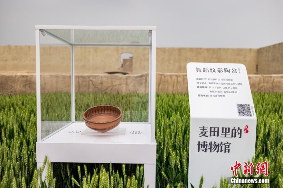 “麦田里的博物馆”开展 沿黄9省“宝藏”齐聚河南