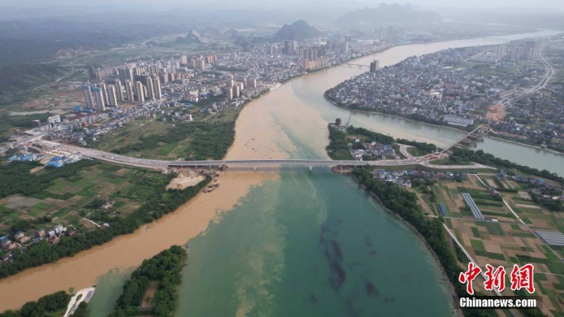 广西柳州：融江现“泾渭分明”景观  一清一浊蔚为壮观