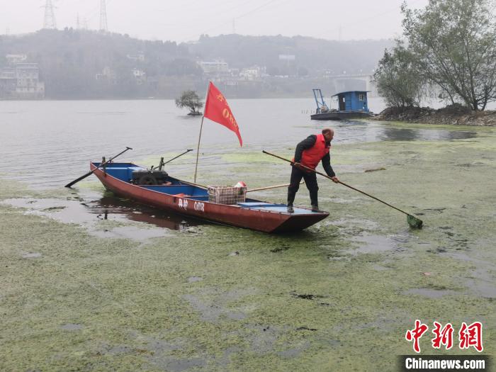 蒋德新正在清漂 丹江口市委宣传部供图