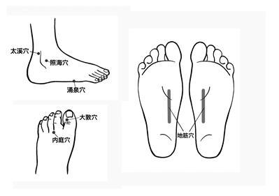 脚部位于人体最底端