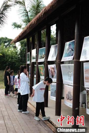 海口湿地公园美如画生物多样性保护成效明显