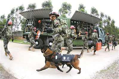 无锡武警第二机动总队图片