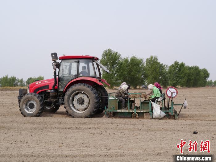 “中国蒙医药之都”：小镇中蒙药材基地“链”出致富“新良方”